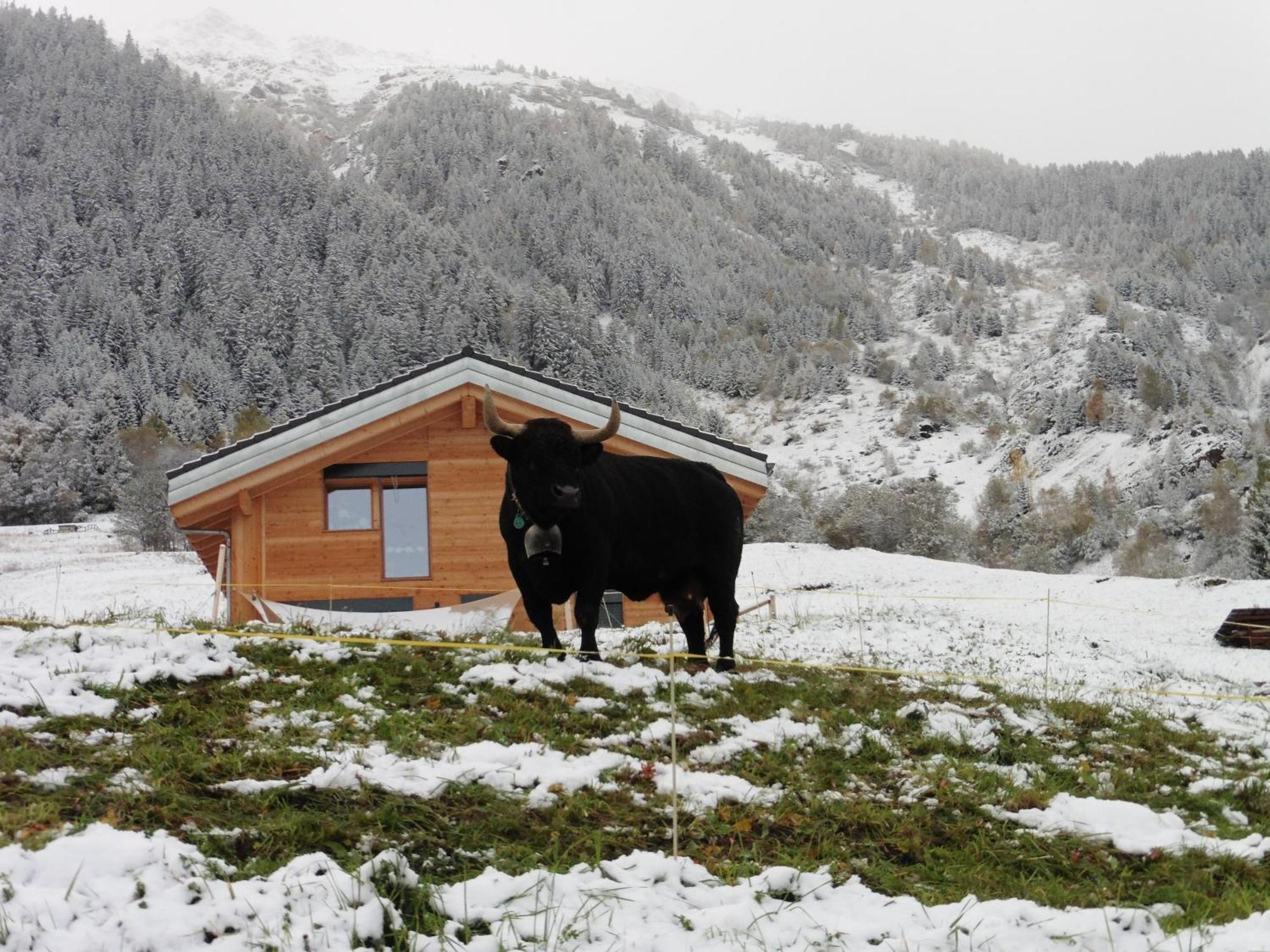 La Cle Des Champs Bed & Breakfast Hérémence Dış mekan fotoğraf