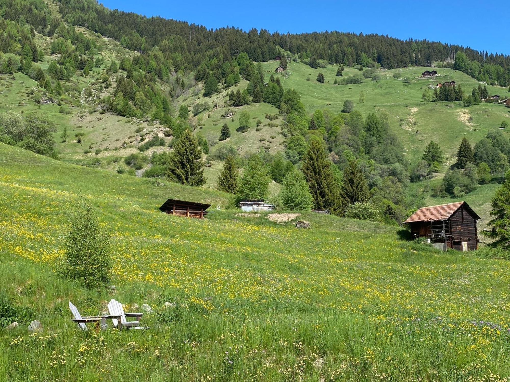 La Cle Des Champs Bed & Breakfast Hérémence Dış mekan fotoğraf